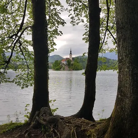 Apartmán Natur 2 *